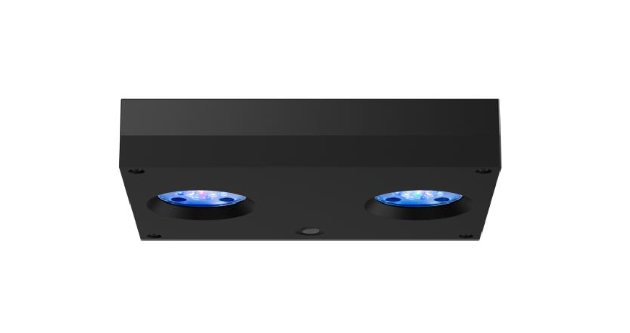AI Hydra HD 32 LED schwarz