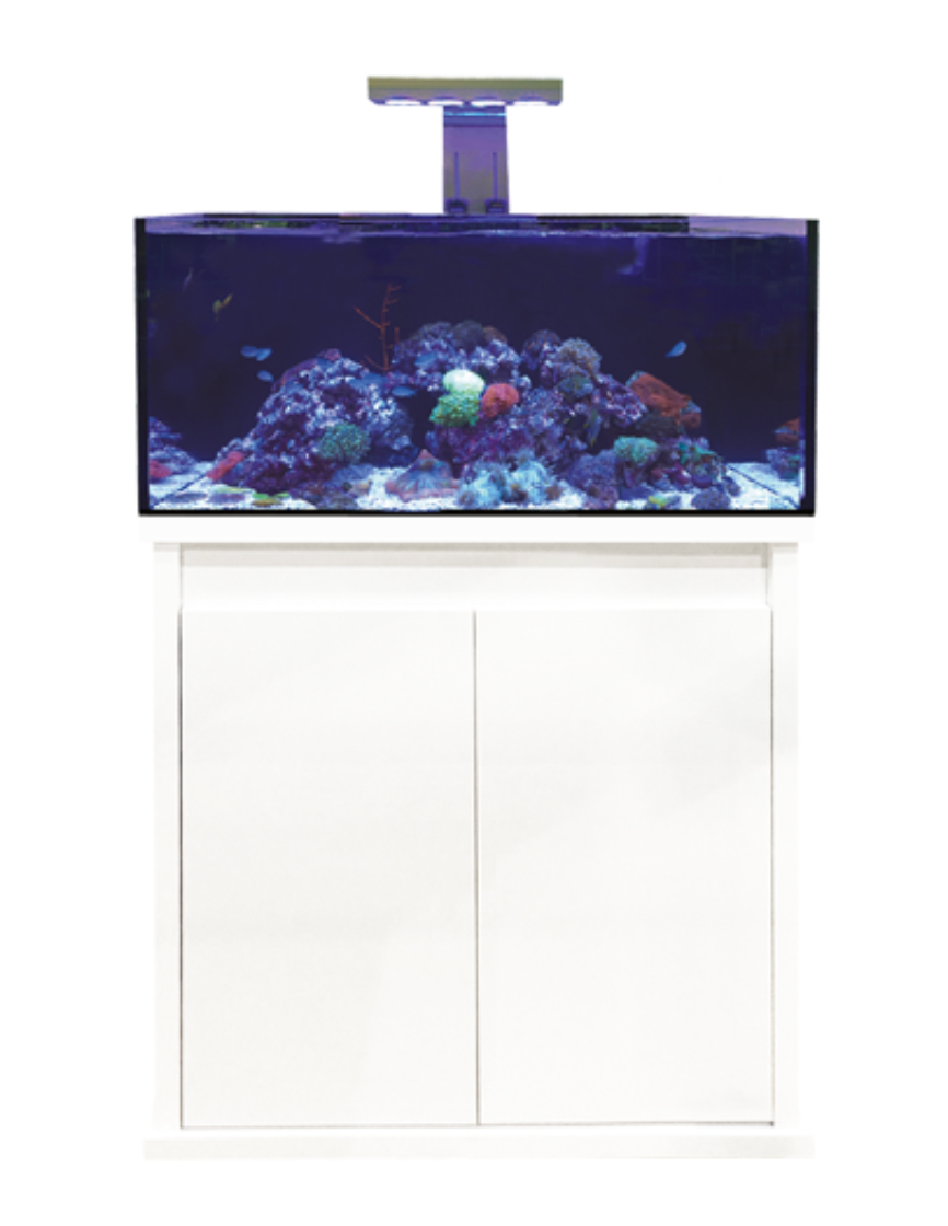 D-D Reef-Pro 900