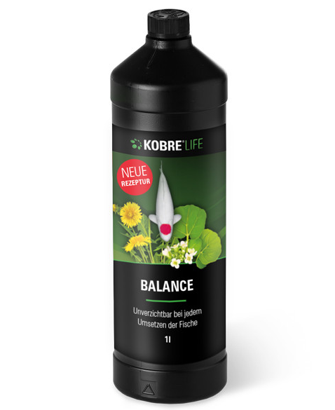 Kobre®Life Balance unverzichtbar bei jedem Umsetzen der Fische!