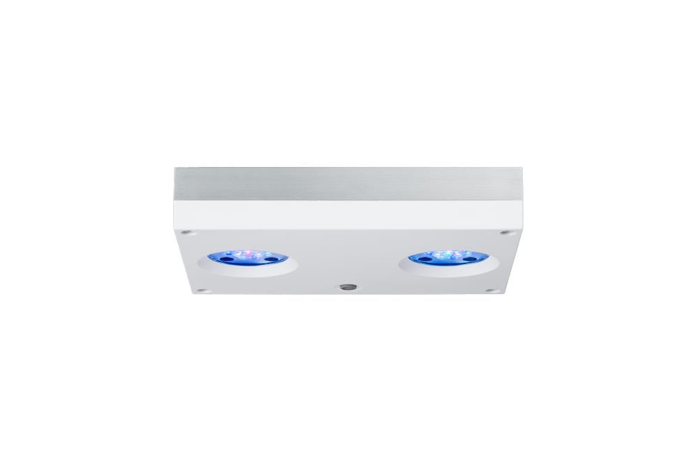 AI Hydra HD 32 LED weiss