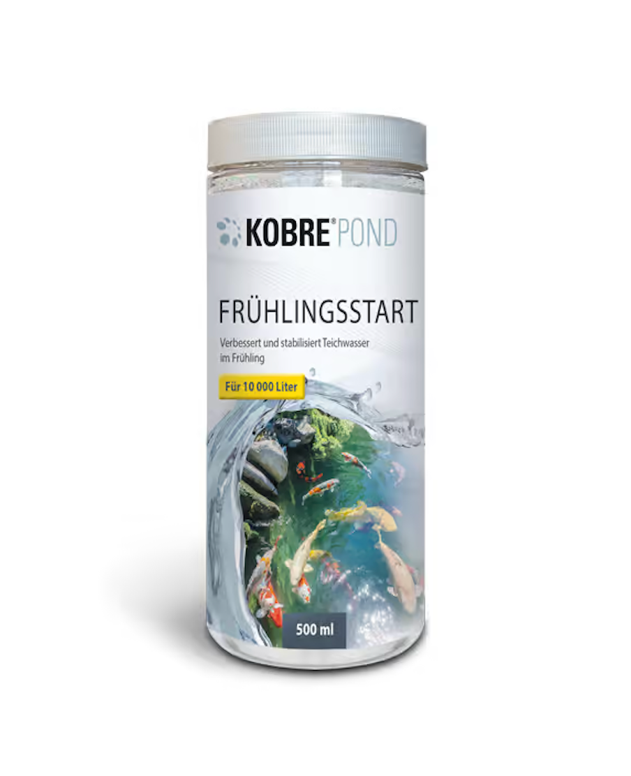 Frühlingsstarter