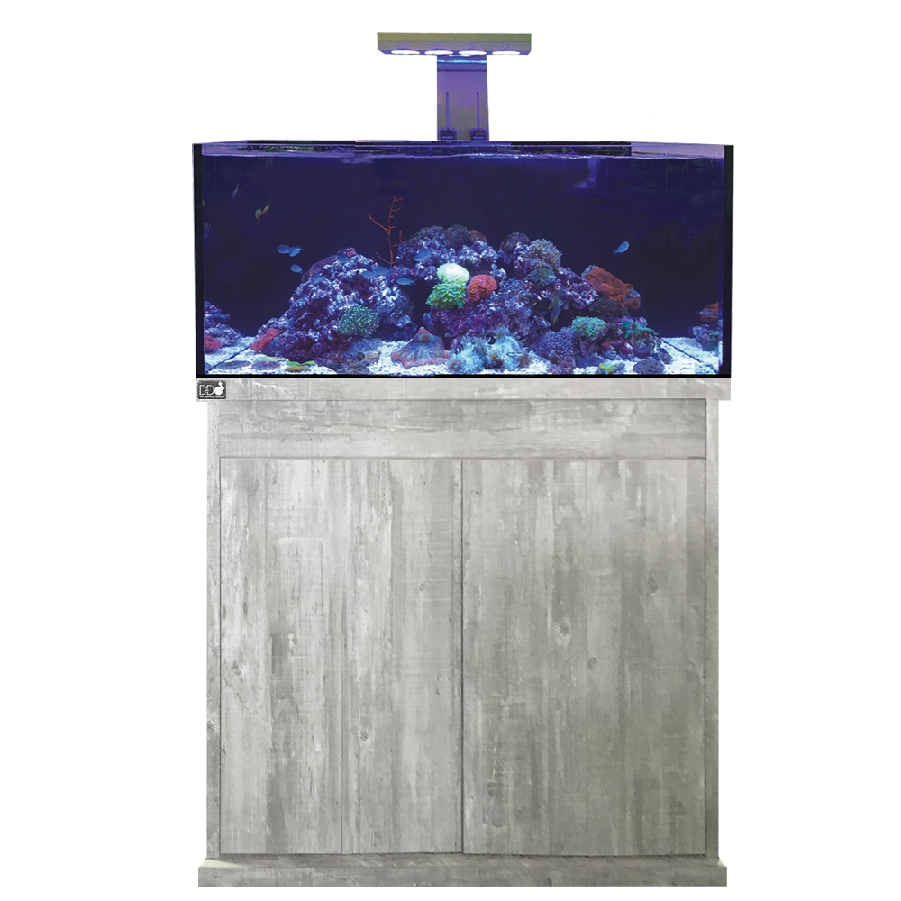 D-D Reef-Pro 900