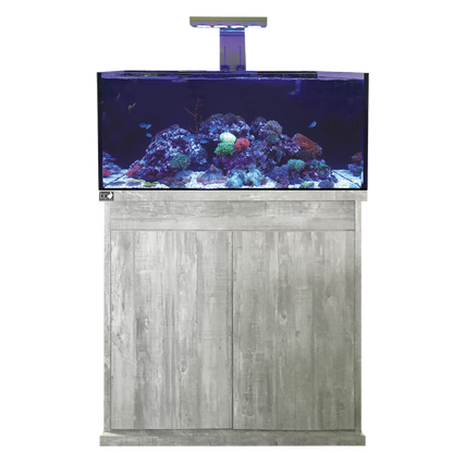 D-D Reef-Pro 900