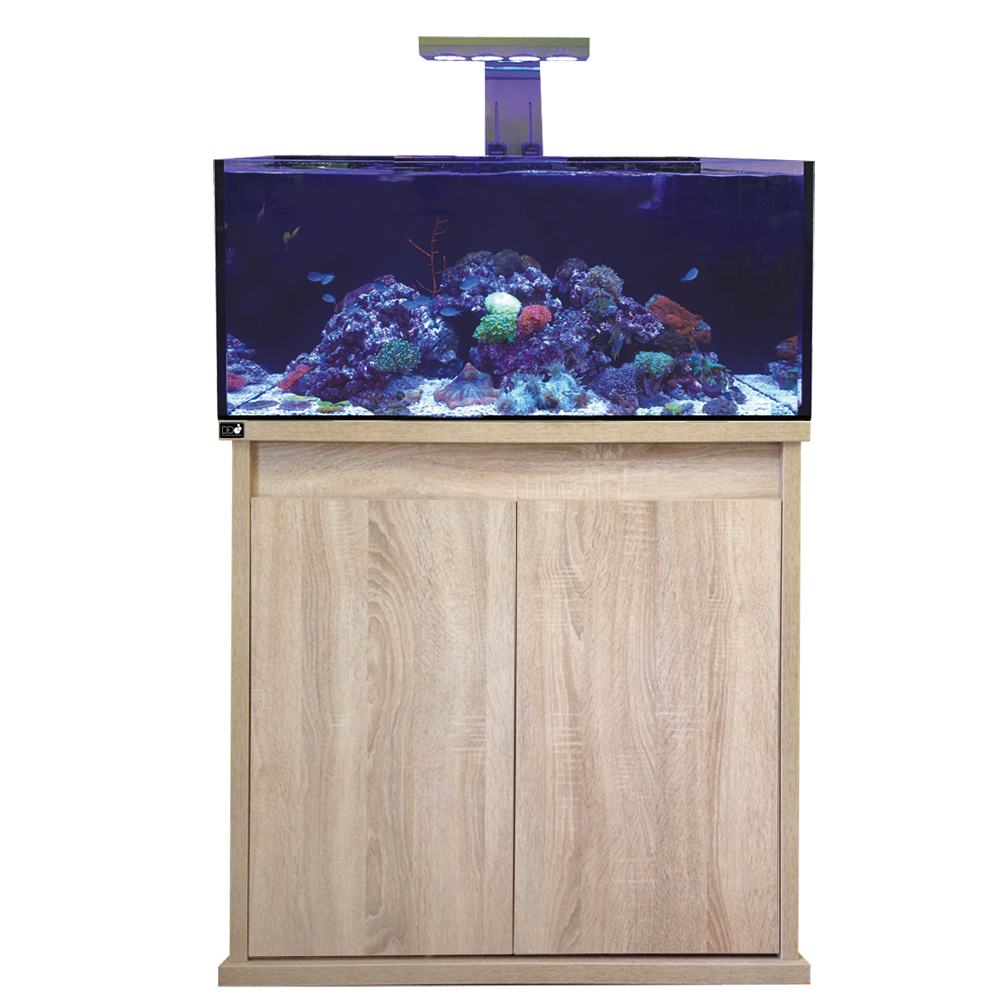 D-D Reef-Pro 900