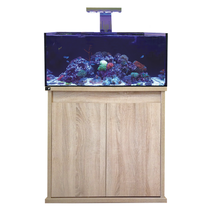 D-D Reef-Pro 900