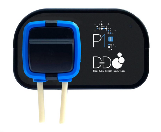 D-D Dosierpumpe P1+