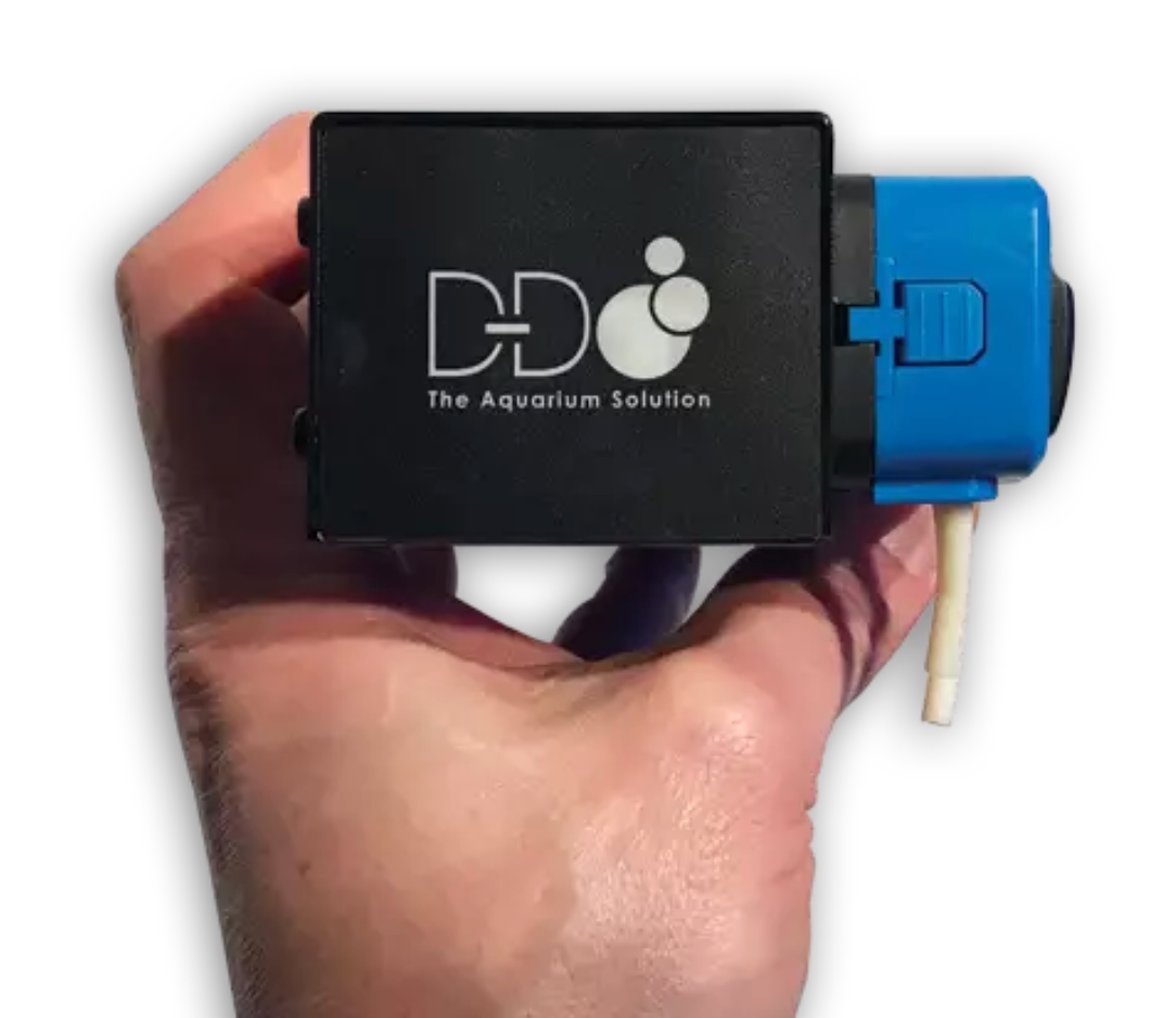 D-D Dosierpumpe P4