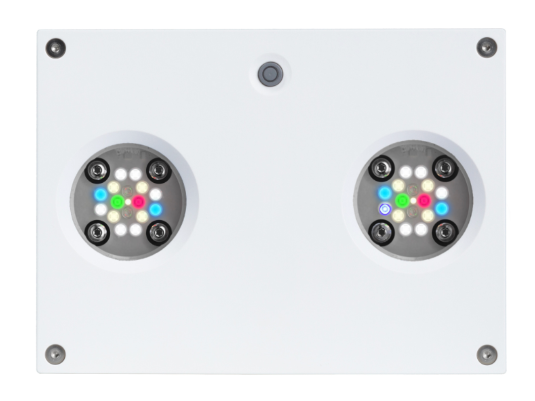 AI Hydra Süsswasser HD 32 LED weiss