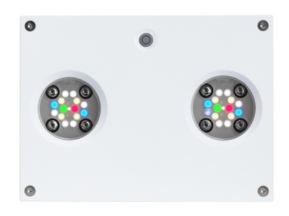 AI Hydra Süsswasser HD 32 LED weiss