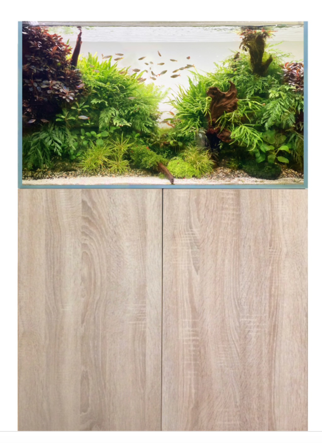 D-D Aqua-Pro Aquascaper 900