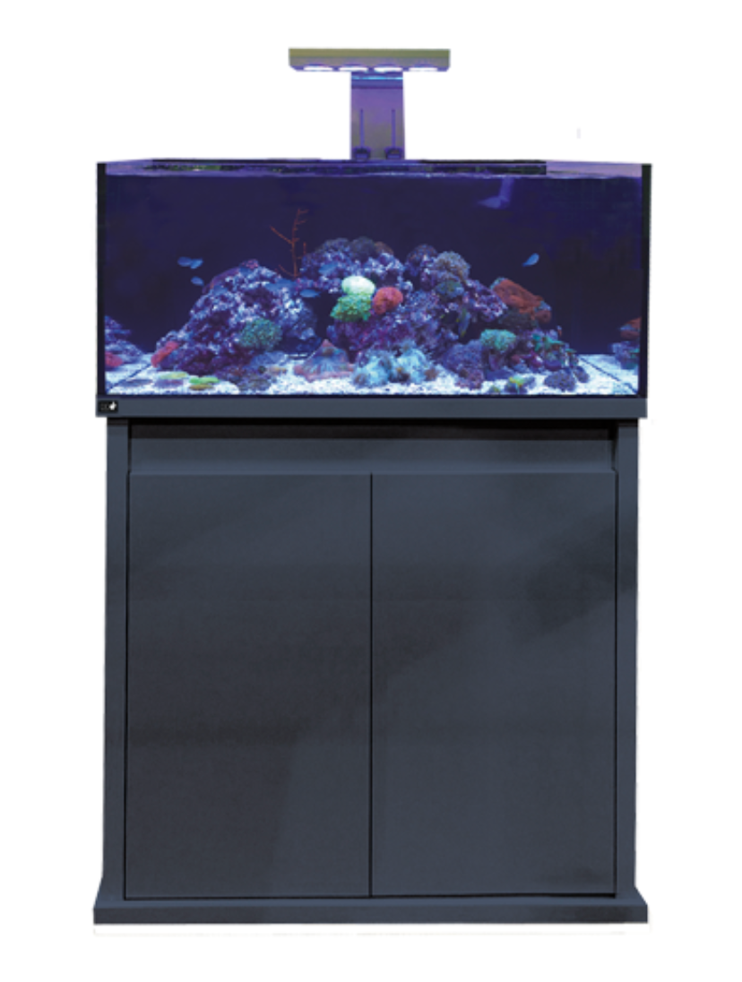 D-D Reef-Pro 900