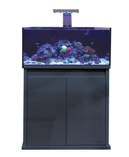 D-D Reef-Pro 900