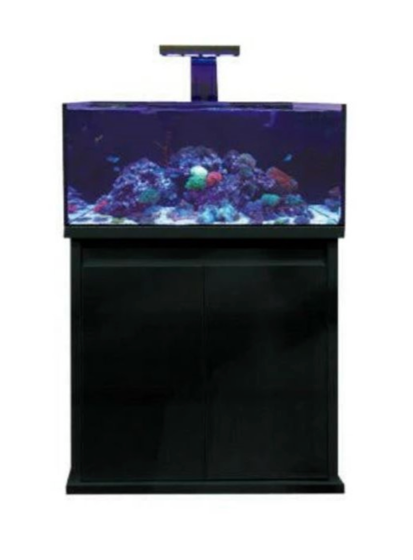 D-D Reef-Pro 900