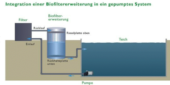 Torii Pond Biofiltererweiterung Bioturm Ø=320mm, H=1500 mm